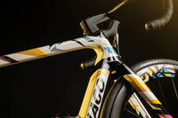 Colnago V4Rs Tadej Pogačar Weltmeister
